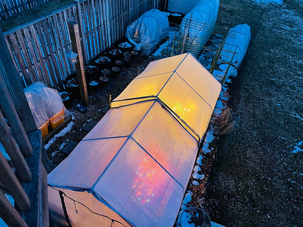 The greenhouse with C9 lights