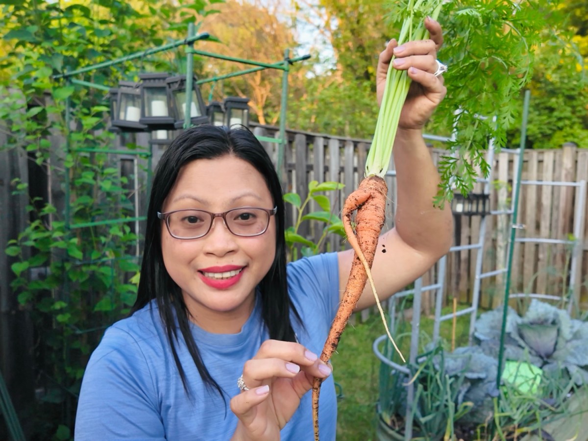 Carrot Comeback: How I Grew a Surprise Harvest After Fall Garden&nbsp;Failures