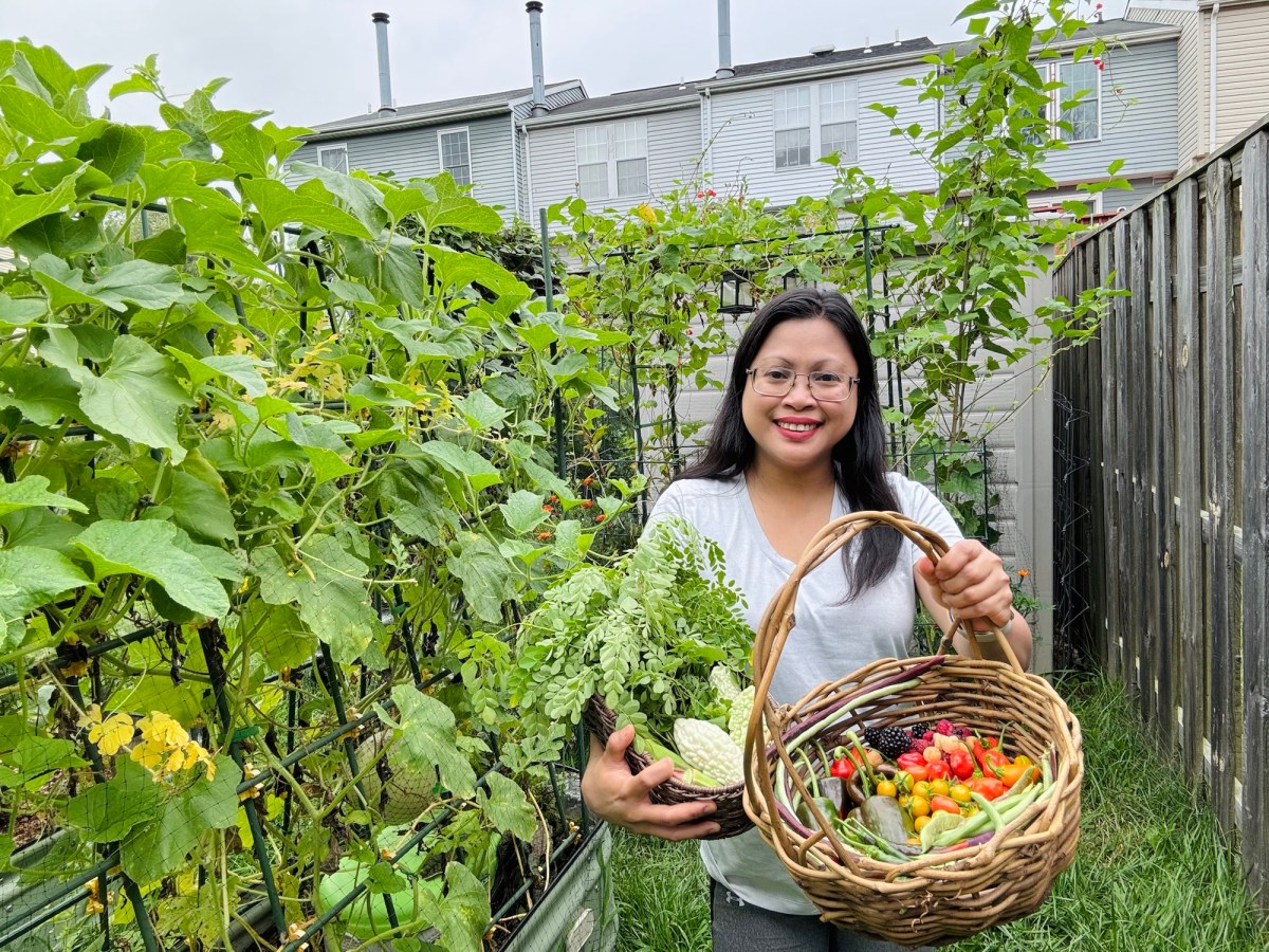 How to Protect Your Garden from Deer, Birds, and Wildlife—Even Without a&nbsp;Fence