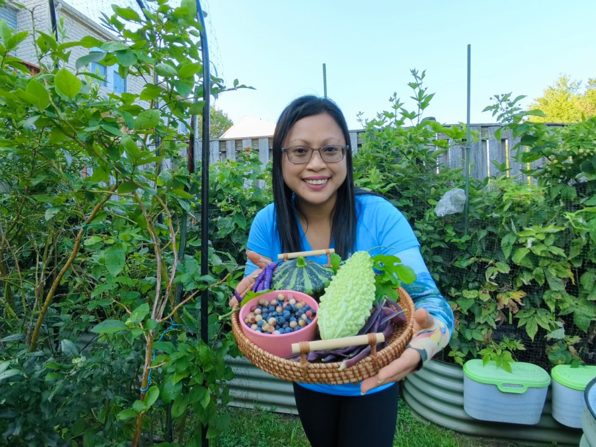 Joy, Struggles, and Surprises: A Look Inside My July Garden at Gingerfoot&nbsp;Garden