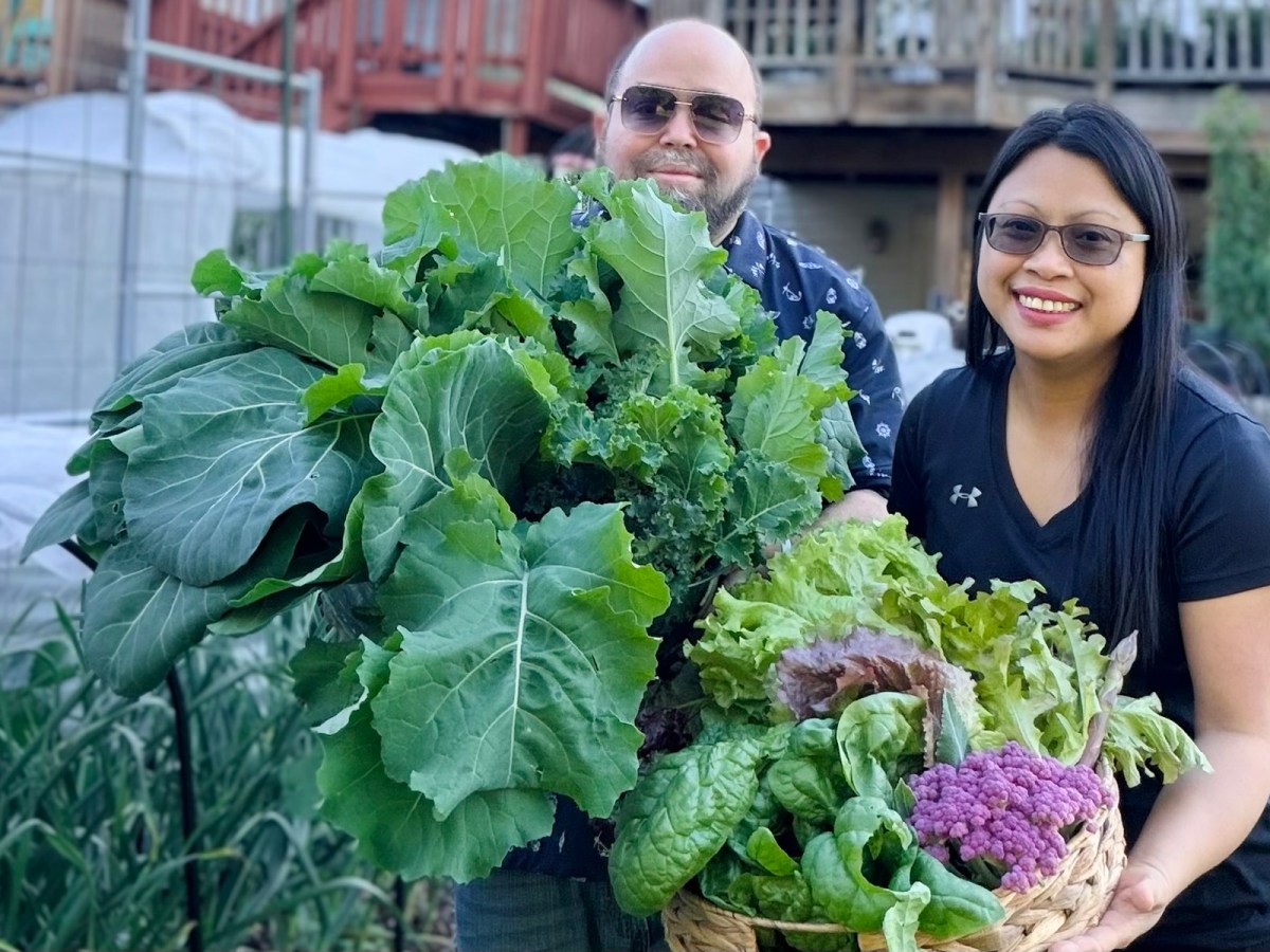 May in My Garden: Harvests, Challenges & Small Space Garden&nbsp;Updates