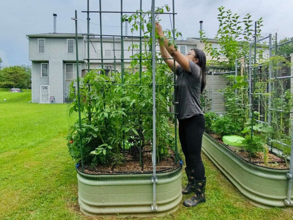 Small Space Gardening in May: How I Maximize Every Inch with Warm-Season&nbsp;Crops