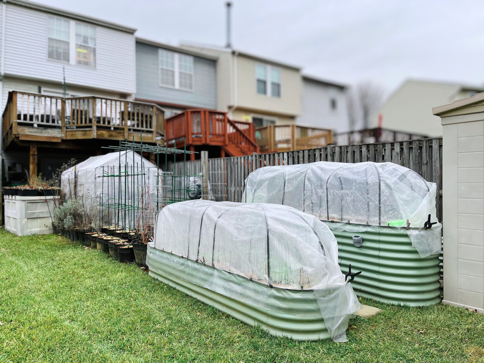 Is Your Garden Ready for the First Frost?